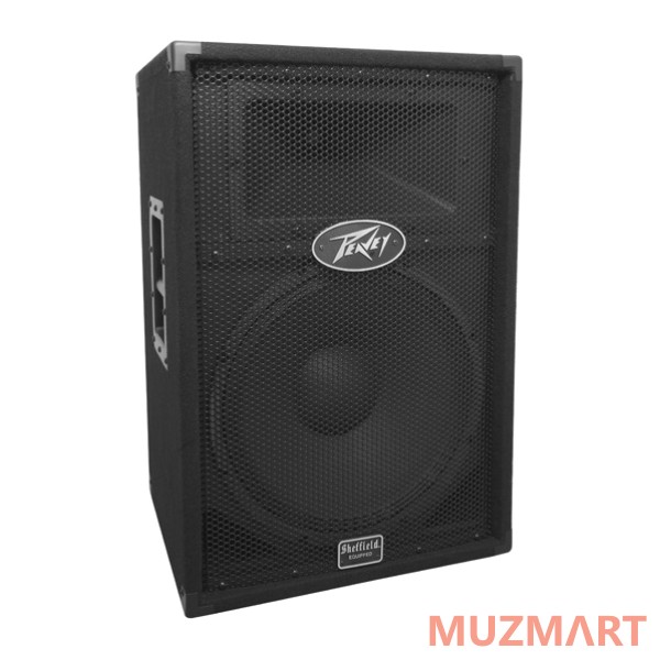 Peavey PV1015D Акустическая система активная