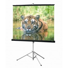 Draper Consul NTSC (3:4) 213/84" (7') 127*169 XT1000E (MW) Мобильный экран