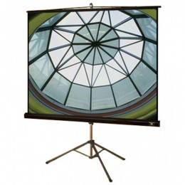 Draper Diplomat AV (1:1) 50/50" 127*127 XT1000E (MW) Мобильный экран