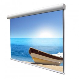 Draper Adaptive Electric NTSC (4:3) 325/128" 195*260 XT1000E Экран с электроприводом