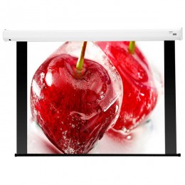 Draper Baronet AV (1:1) 70/70" 178*178 XT1000E (MW) MB (with black borders) Экран с электроприводом