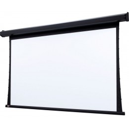 Draper Premier HDTV (9:16) 269/106" 132*234 XT1000V (M1300) ebd 12" case black Экран с электроприводом