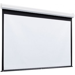 Draper Luma 2 format (16:10) 348/137" 184*295 XT1000E Настенный подпружиненный экран