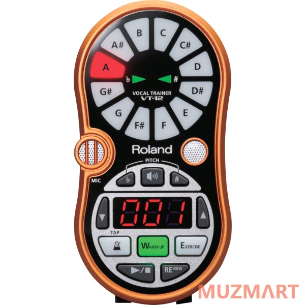 Roland VT-12-OR Вокальный тренажер