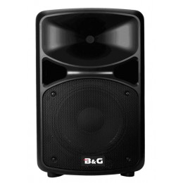 BG THY-15D Акустическая система активная, 250Вт RMS, класс AB